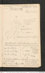 Seite 112, Tagebuch "Mannersdorf am Leithagebirge | Hankenfeld | Statzendorf | D 12 … | Unter Wölbling || Hadersdorf | Ratterdorf" (NHMW-PRAE-BBB-86)